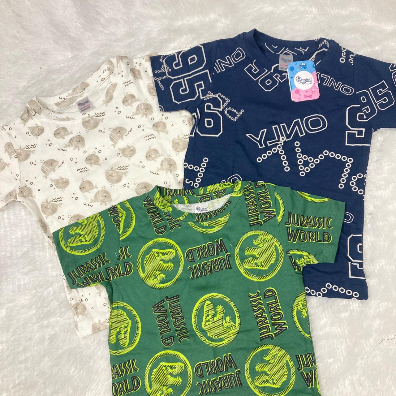 3 Pcs T-Shirt Combo 12 to 18 months