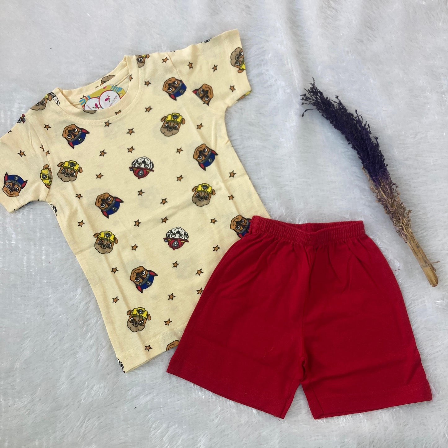 Boys and Girls Premium Short Set(6 to 24 month) IF01