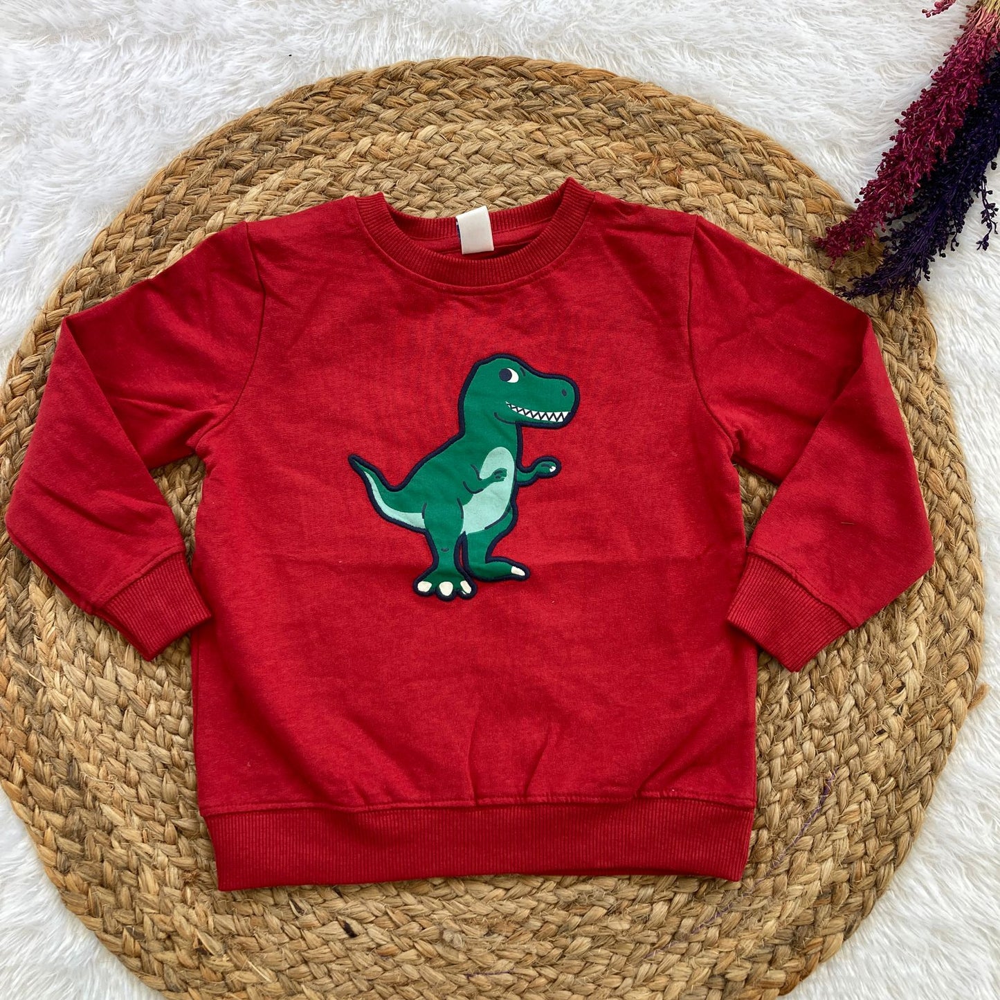 Boys and Girls Sweatshirt Winter Wear Jk01