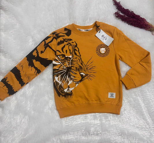 Boys and Girls Sweat Shirt SS01