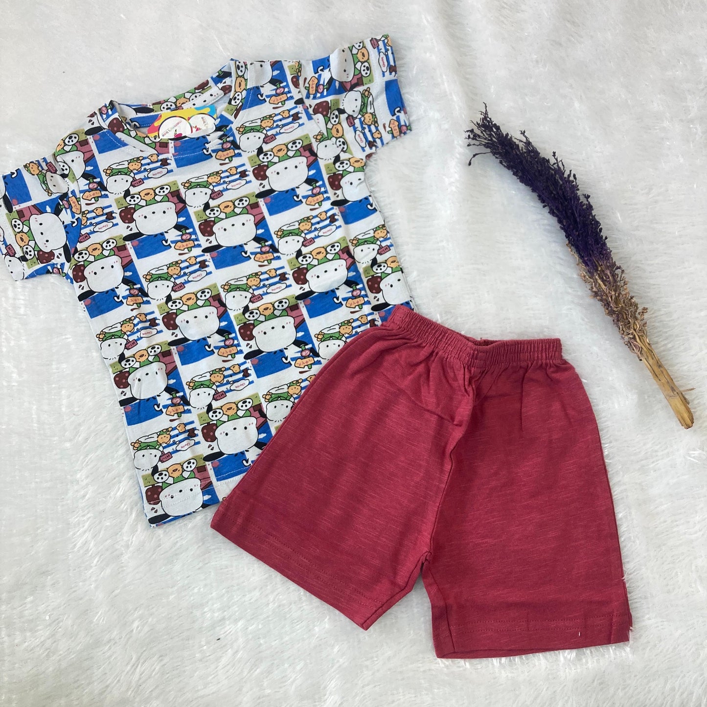 Boys and Girls Premium Short Set (6 to 24month) IF01