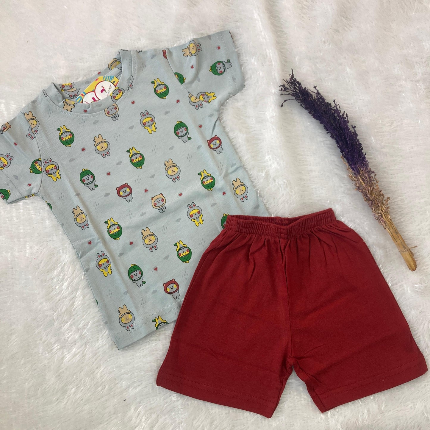 Boys and Girls Premium Short Set(6 to 24month) IF01