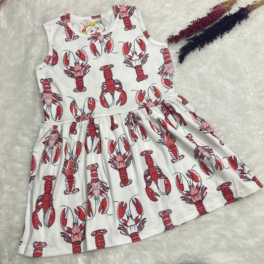 Summer Sleeveless Frock  5 to 6  years