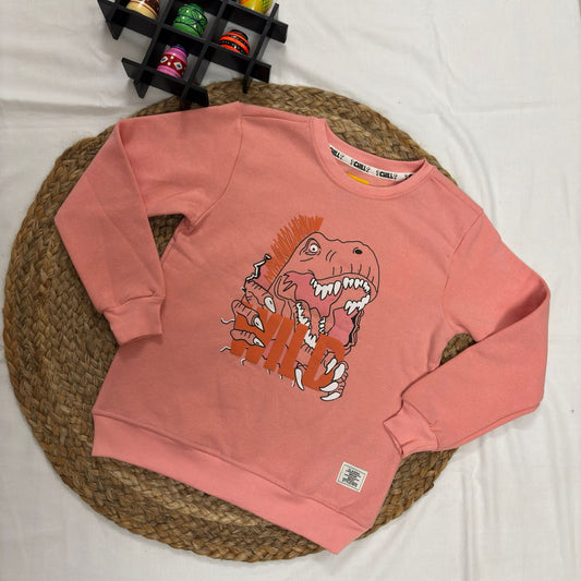 Boys and Girls Sweatshirt WinterWear Jk01