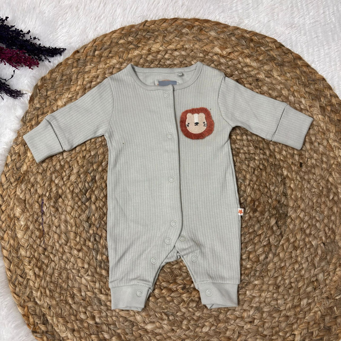 Branded baby sleepsuits SL01