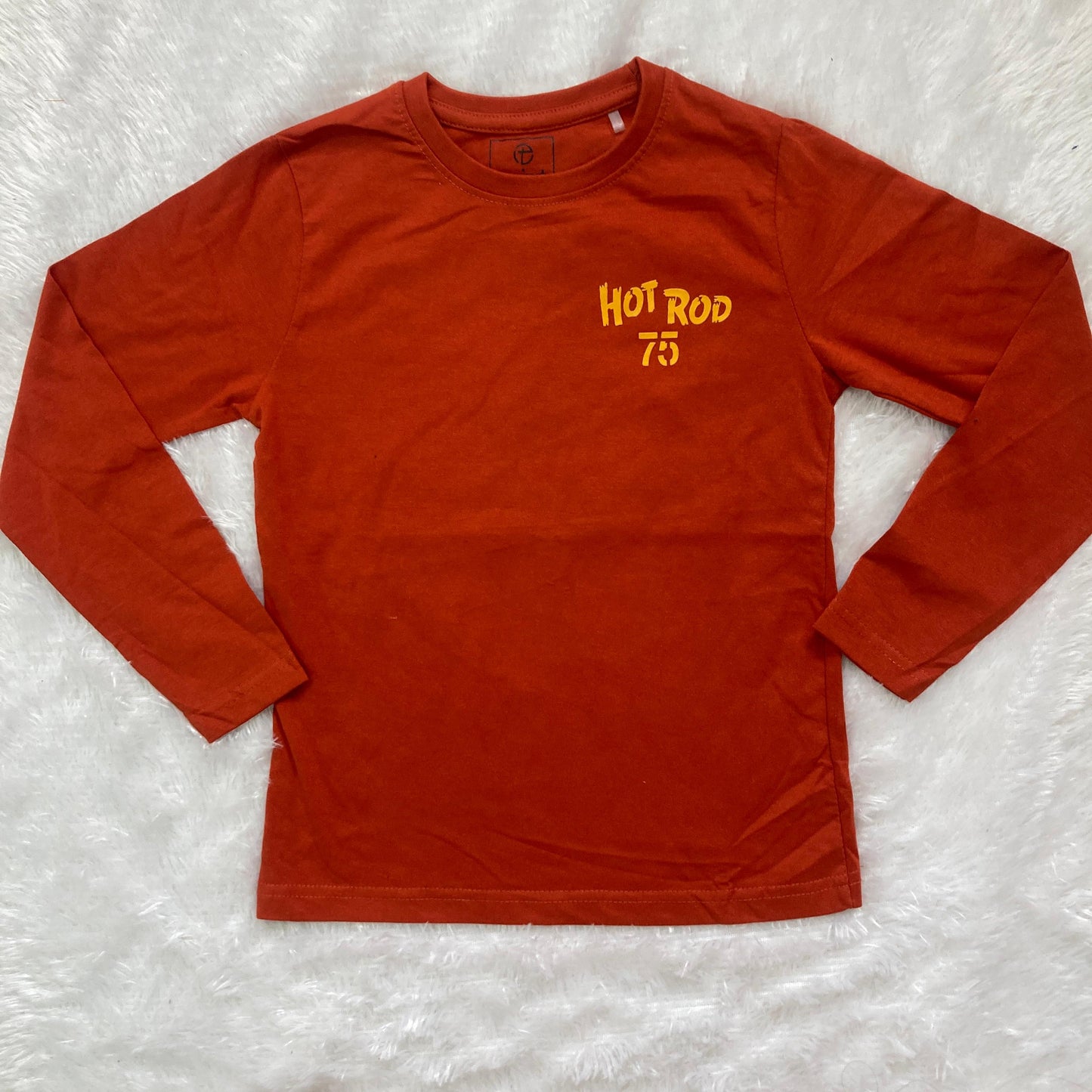 Branded T shirt Full sleeve TP01