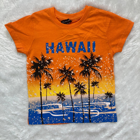 Branded T shirt Half sleeve TP01