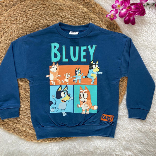 Boys and Girls Sweatshirt Winter Wear Jk01