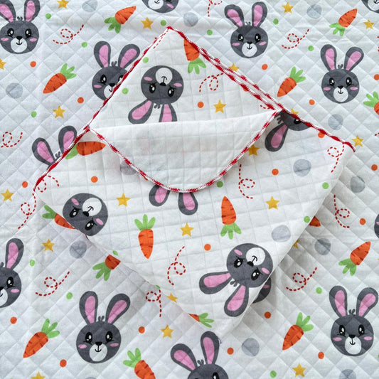 2 layer Muslin Receiving Blanket / Swaddle