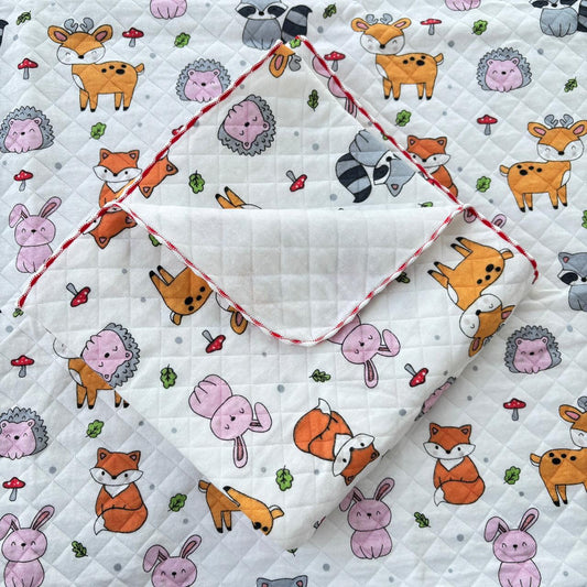 2 layer Muslin Receiving Blanket / Swaddle