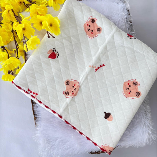 2 layer Muslin Receiving Blanket / Swaddle