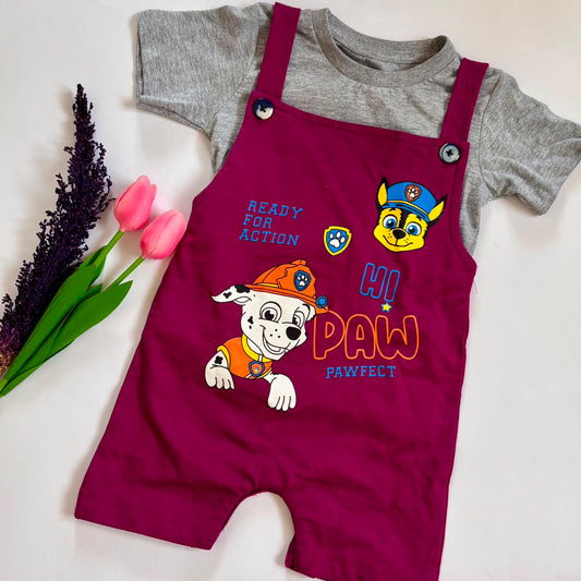 Cotton kids Dungaree With T- Shirt Set PV03