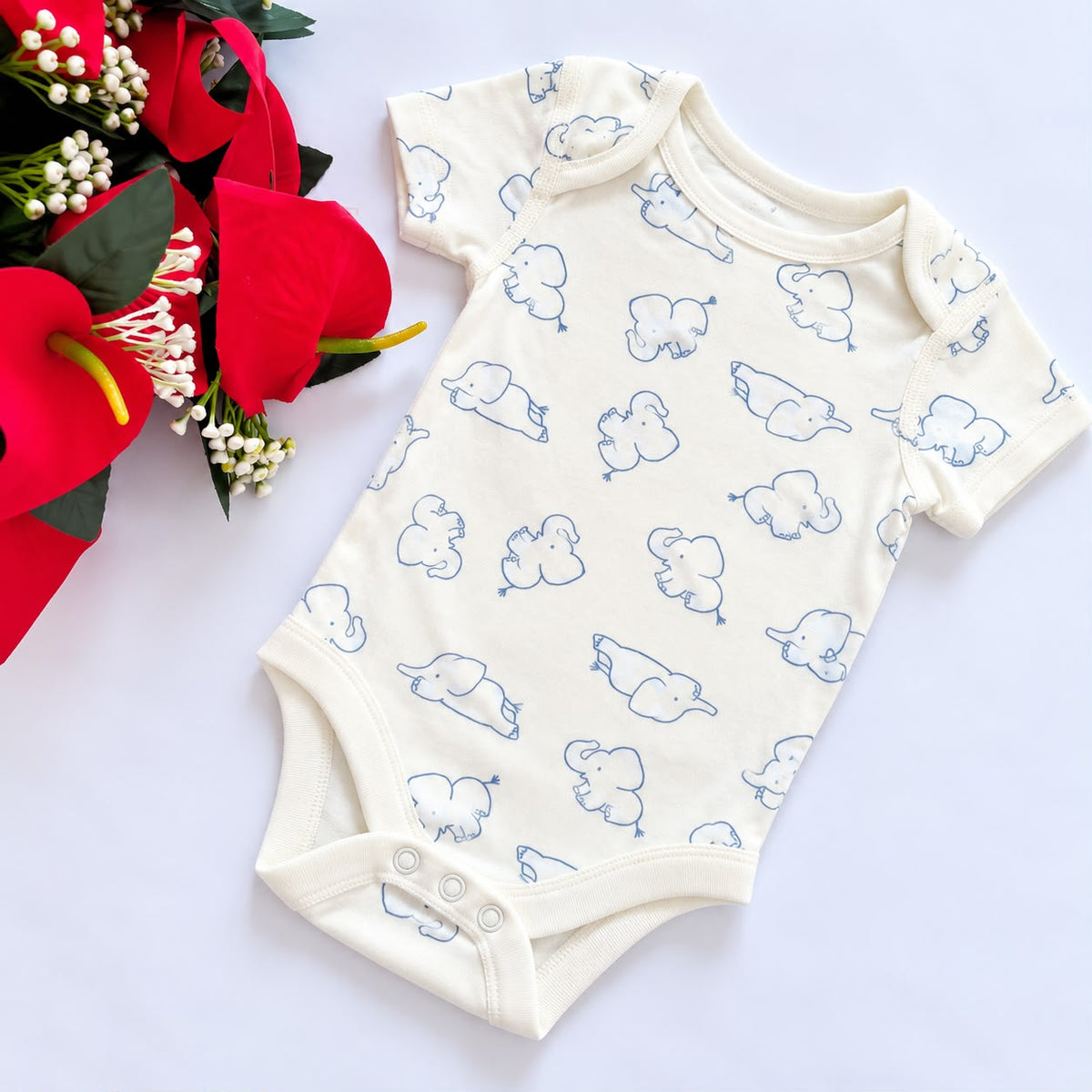 Branded Onesies
