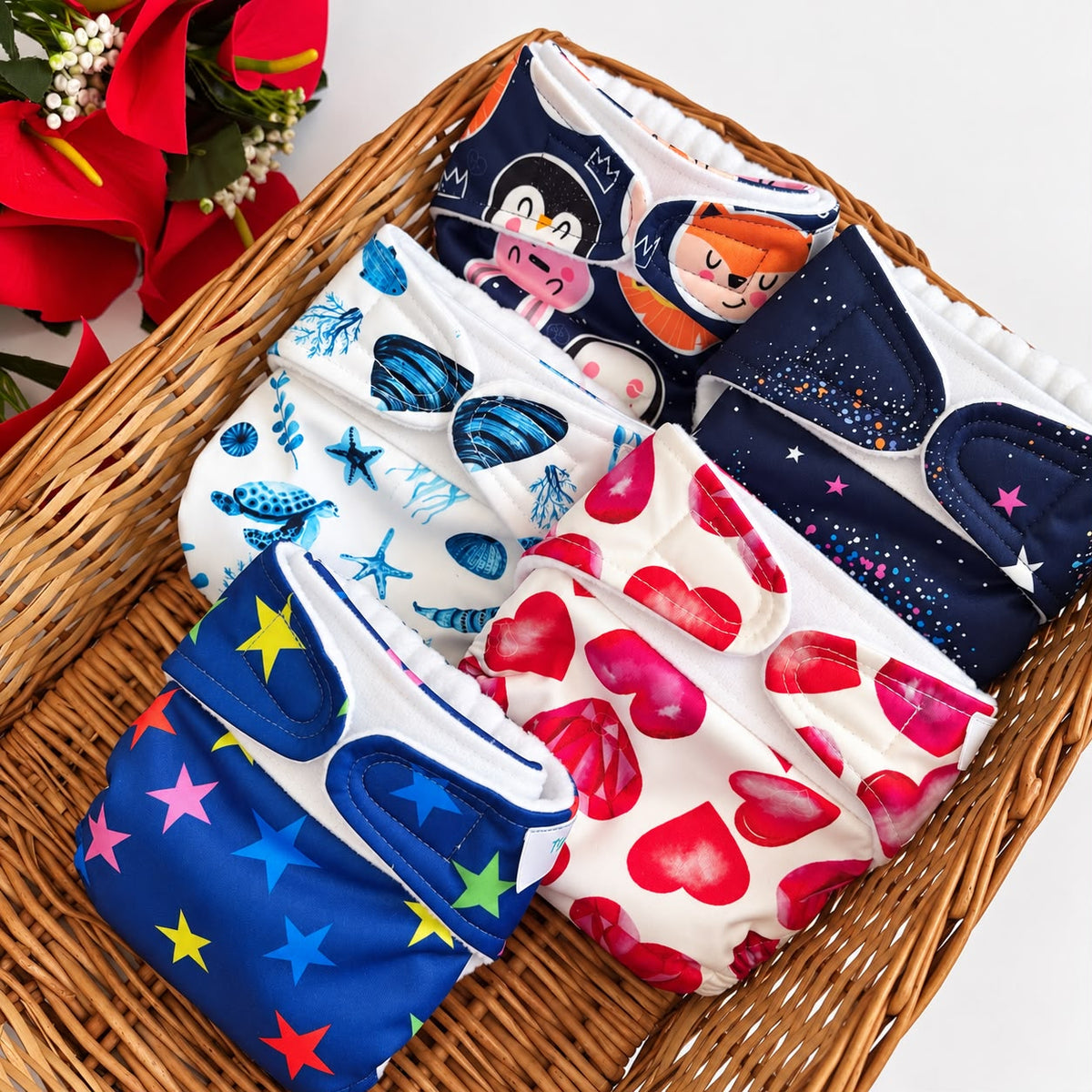 Pack of 2 Newborn Organic Reusable Cloth Diaper MN01